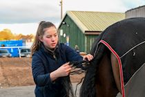 031222-GBR Aintree-WR-0205.jpg