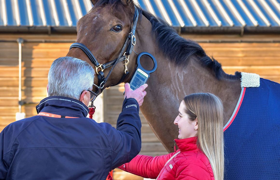Horse Welfare at Aintree Racecourse