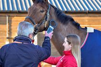 031222-GBR Aintree-WR-4125.jpg