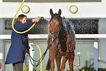 031222-GBR Aintree-WR-4769.jpg