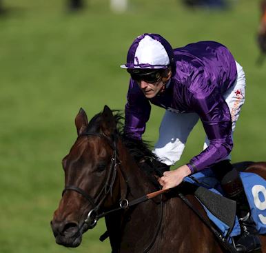 ROUND-UP OF FINAL TWO RACES ON LADIES DAY PLUS GOING UPDATE 