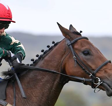 Huntingdon Reciprocals 