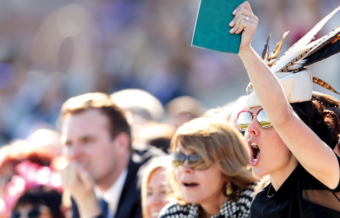 The Rand Farm Park Boxing Day Racing