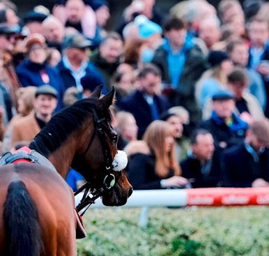 DECLARED RUNNERS FOR DAY ONE OF THE LADBROKES CHRISTMAS FESTIVAL