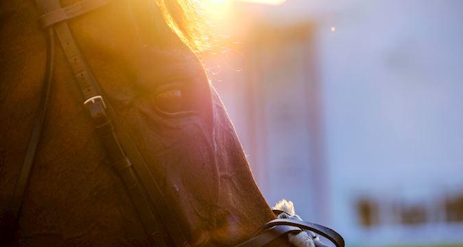 Refund & Abandonment Policy