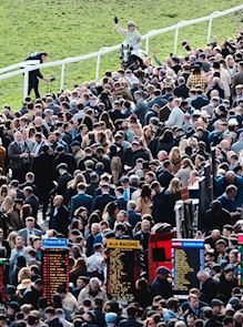 Eight Reasons To Visit The Festival