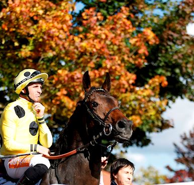 Virgin Bet to sponsor next month's Group One Sun Chariot Stakes