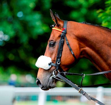 Frequently asked questions