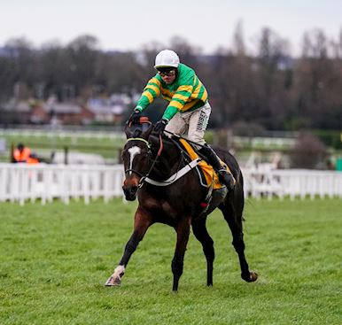 Betfair Tingle Creek Entries - Revealed!
