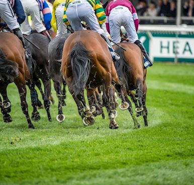 Grand National Race Results