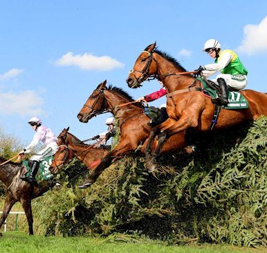 Horse Welfare - turf and ground