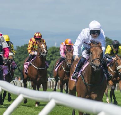 Mark Johnstone's First Ever Winner Remembered