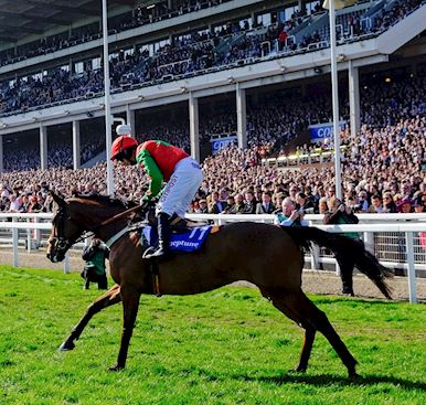 What's On at Cheltenham Racecourse