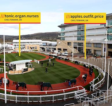 What3Words at Cheltenham Racecourse