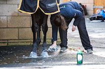 Cheltenham NYD 23-300.jpg