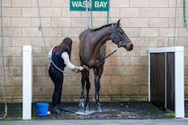 Cheltenham NYD 23-348.jpg