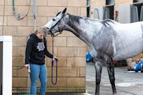 Cheltenham NYD 23-350.jpg