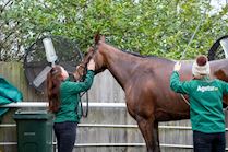 Cheltenham NYD 23-451.jpg