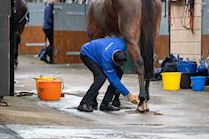 Cheltenham NYD 23-534.jpg