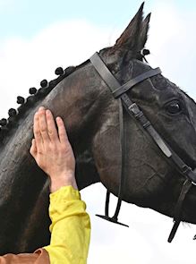 When & what time is the Cheltenham Gold Cup?
