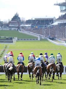 Visit Cheltenham's guide to visiting the Festival