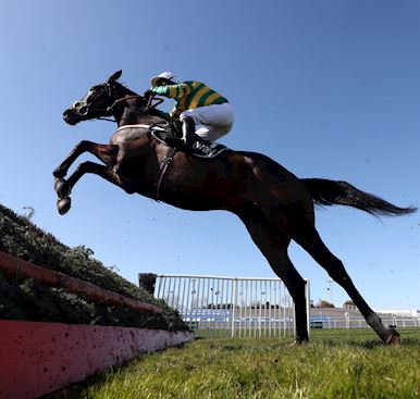 HENDERSON HOPES ROYAL RUNNER STEAL A MARCH CAN MOVE CLOSER TO A CHELTENHAM FESTIVAL OUTING TOMORROW