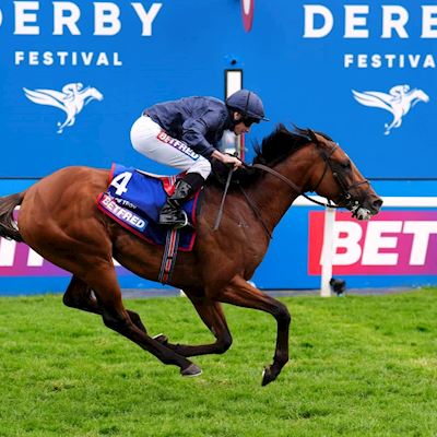 Derby_Winner_Dual (1).jpg