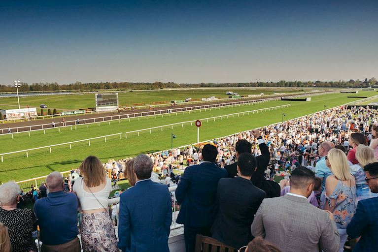 View from the Desert Orchid suite