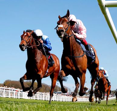 Racecourse Committee