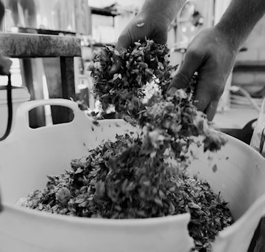 Behind the bar: celebrating the past, present and future by the barrel!