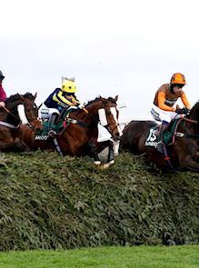 Grand National Fences
