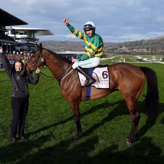 Festival_CTA (1).jpg