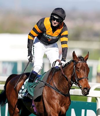 Past Grand National Winners