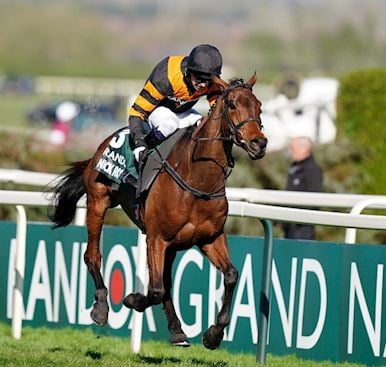 The Randox Grand National Festival