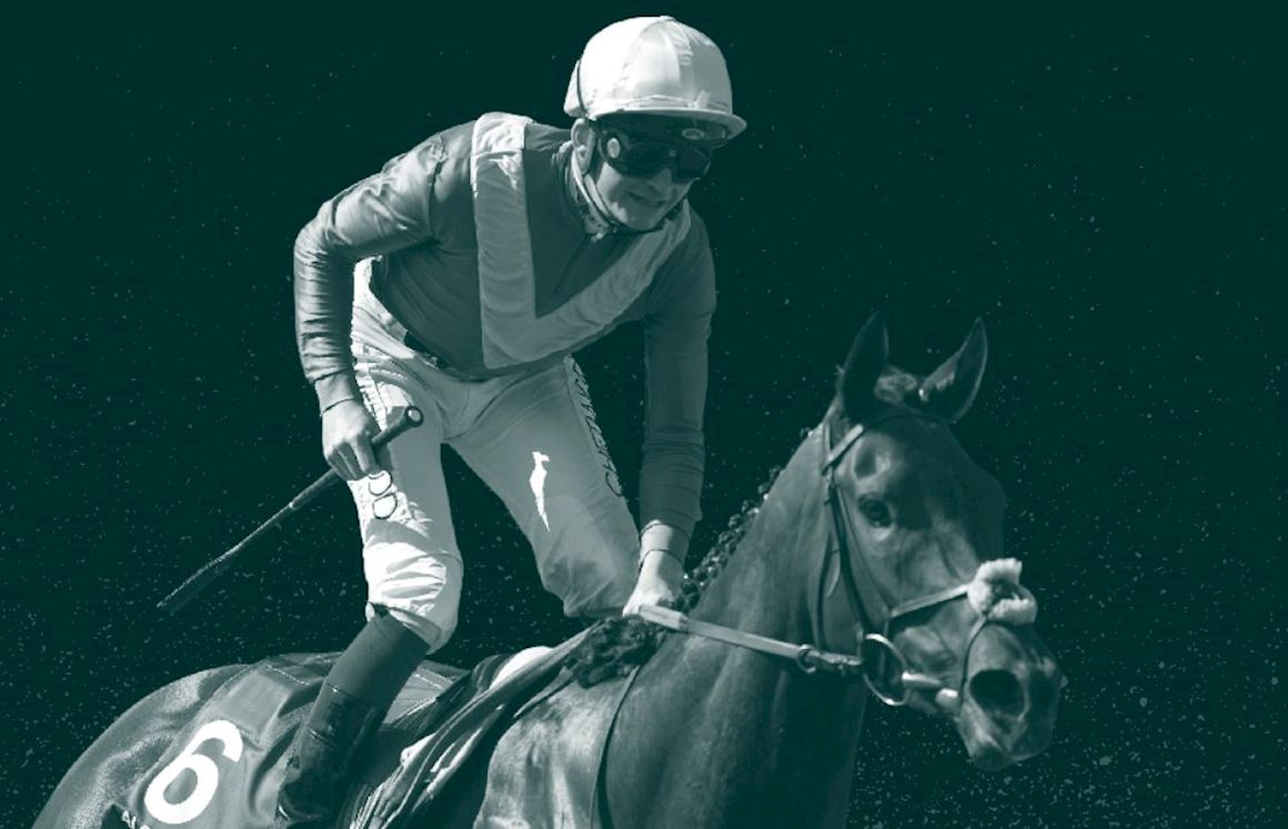 International Race Guide