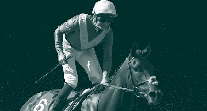 International Race Guide