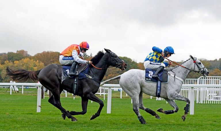 Haiti Couleurs 4 (1).jpg