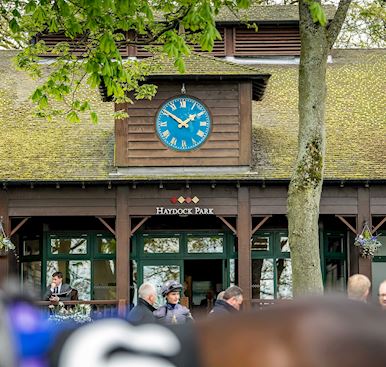 Terms and Conditions