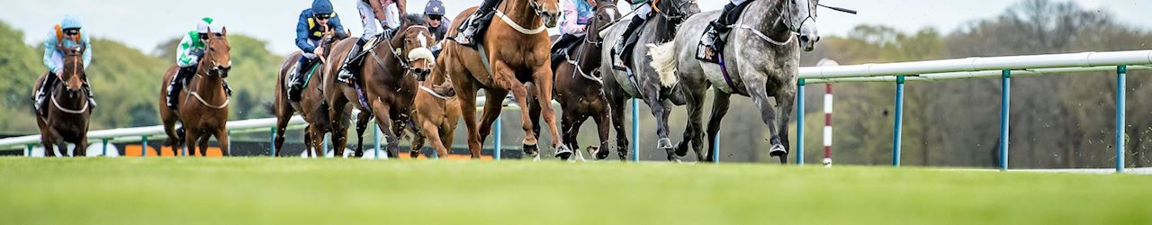 Haydock Park Terms & Conditions