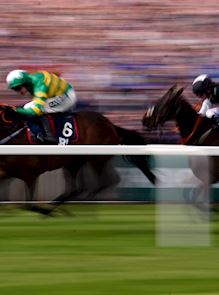 Highlights & Results