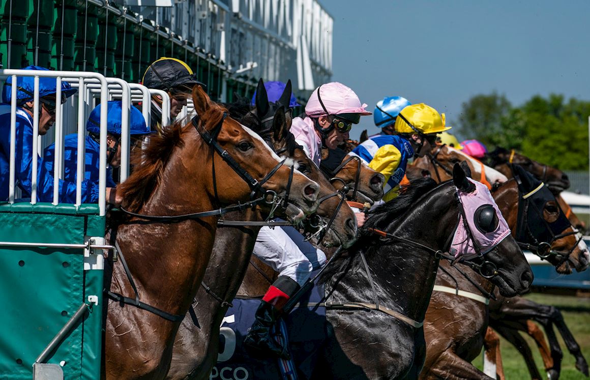 Jockey Club Racedays