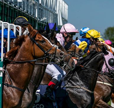 Jockey Club Racedays