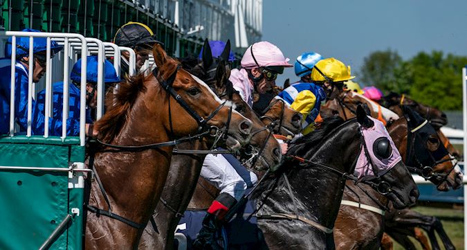 Jockey Club Racedays