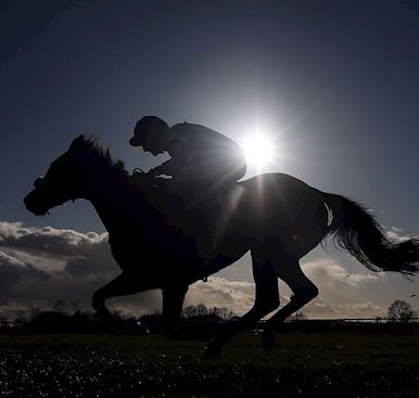 Huntingdon Annual Badges