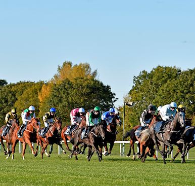 FOLLOW US ON INSTAGRAM