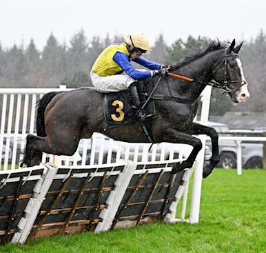 History made at Exeter as 300-1 outsider Blowers sloshes to record-breaking victory