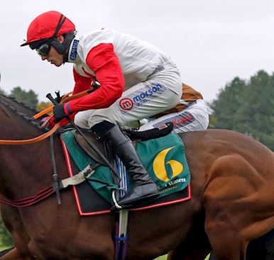 HARRY COBDEN CELEBRATES 1,000 BRITISH WINNERS
