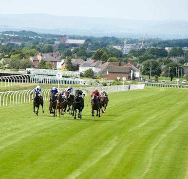 Carlisle Annual Membership