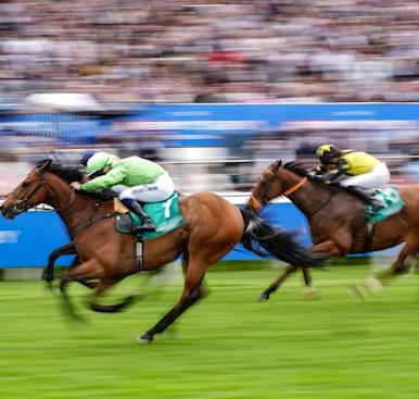 IT’S A JUNGLE IN THE ASTON MARTIN “DASH”