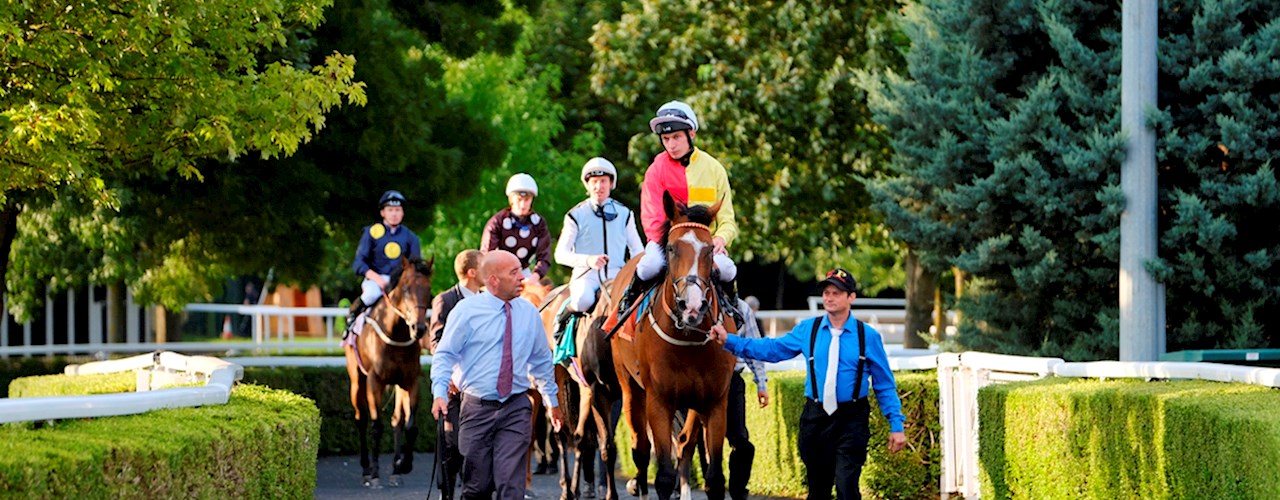 Owners & Trainers Essentials